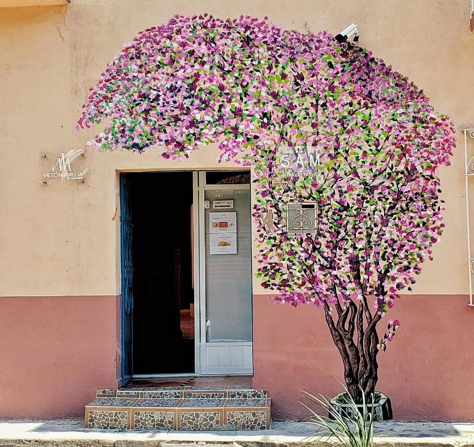 Hotel Meson Amelia San Miguel de Allende Exterior foto